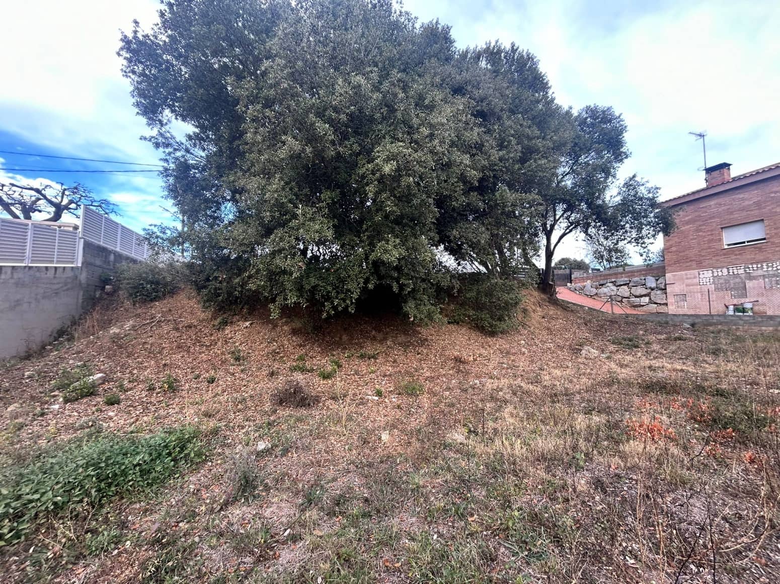 Byggegrund til salg i Dosrius - € 80.000 (Ref: 8053567)