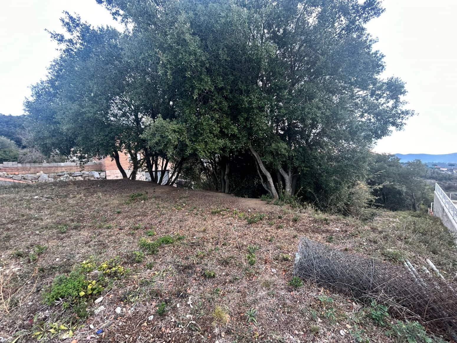 Byggegrund til salg i Dosrius - € 80.000 (Ref: 8053567)