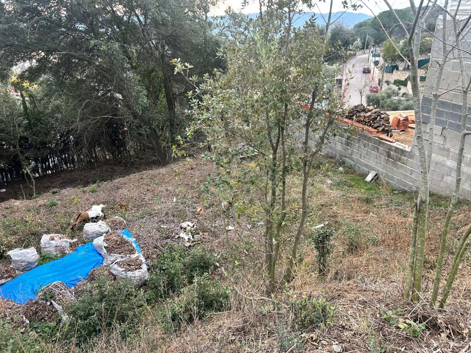 Byggegrund til salg i Dosrius - € 80.000 (Ref: 8053567)