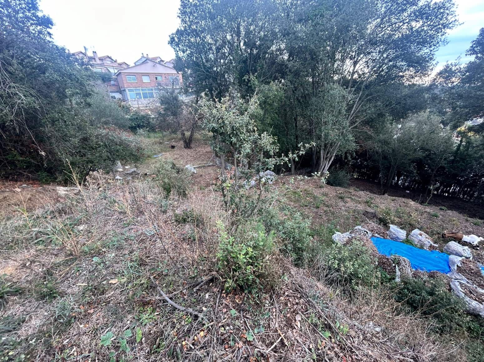 Byggegrund til salg i Dosrius - € 80.000 (Ref: 8053567)