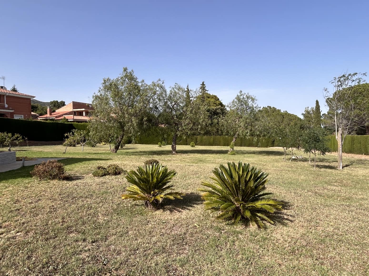 4 soveværelse Villa til salg i Almoster med swimmingpool garage - € 798.000 (Ref: 8418401)