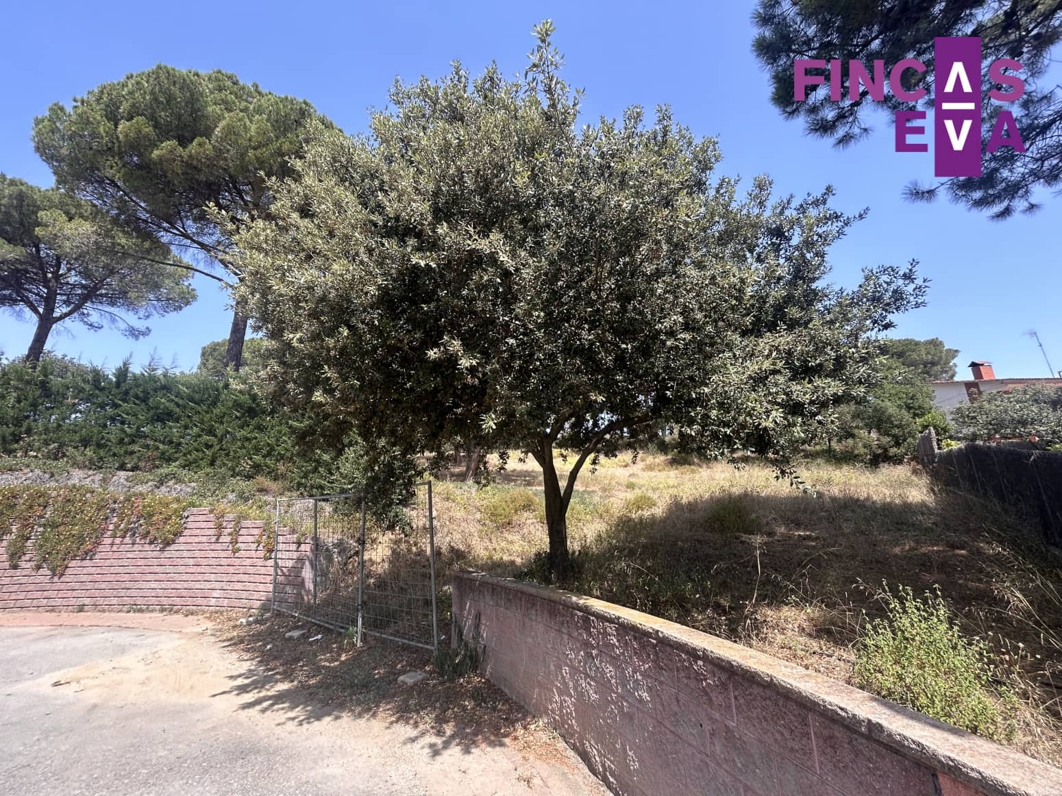 Działka budowlana na sprzedaż w Vallromanes - 310 000 € (Ref: 8436391)