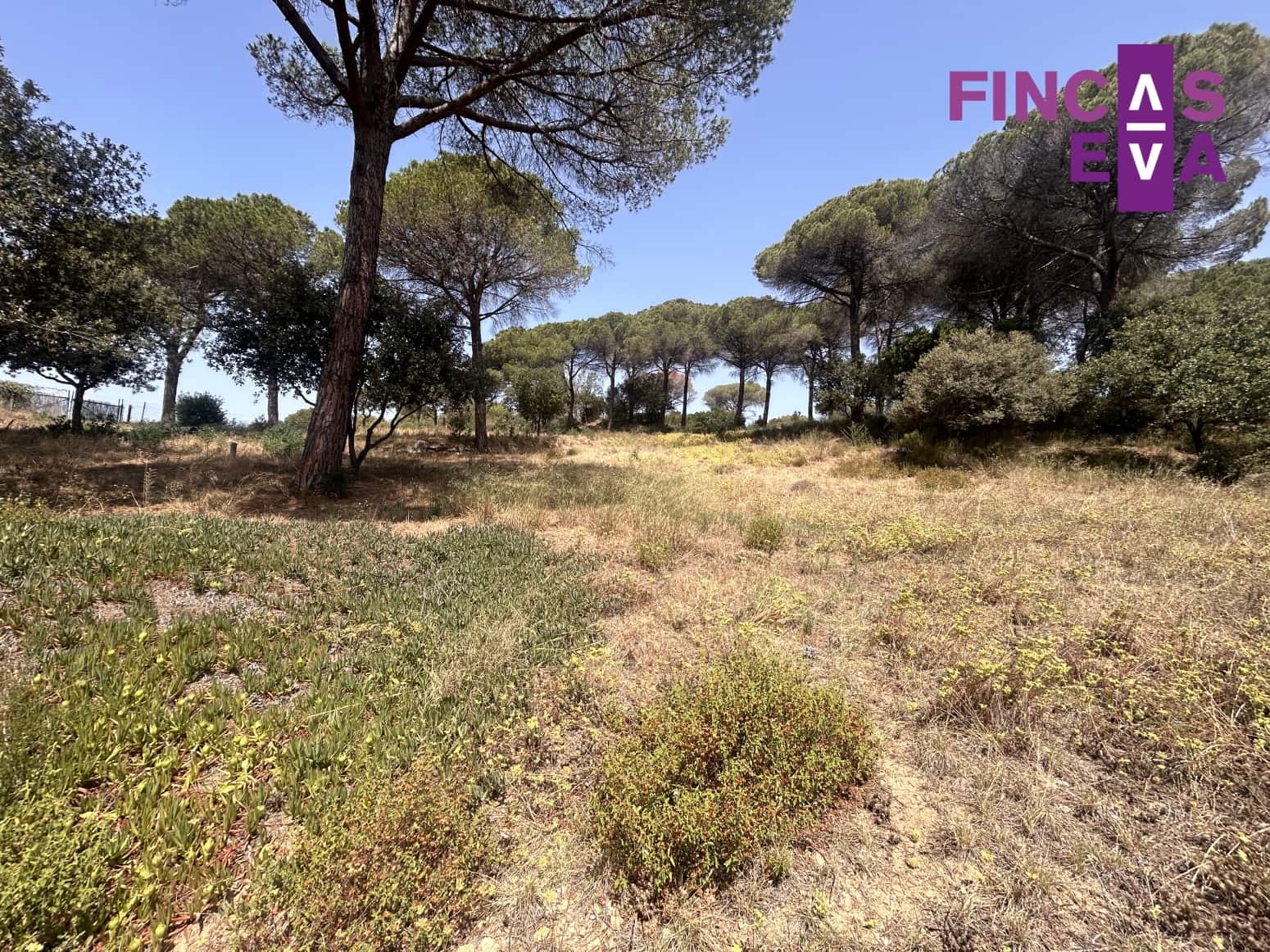 Działka budowlana na sprzedaż w Vallromanes - 310 000 € (Ref: 8436391)