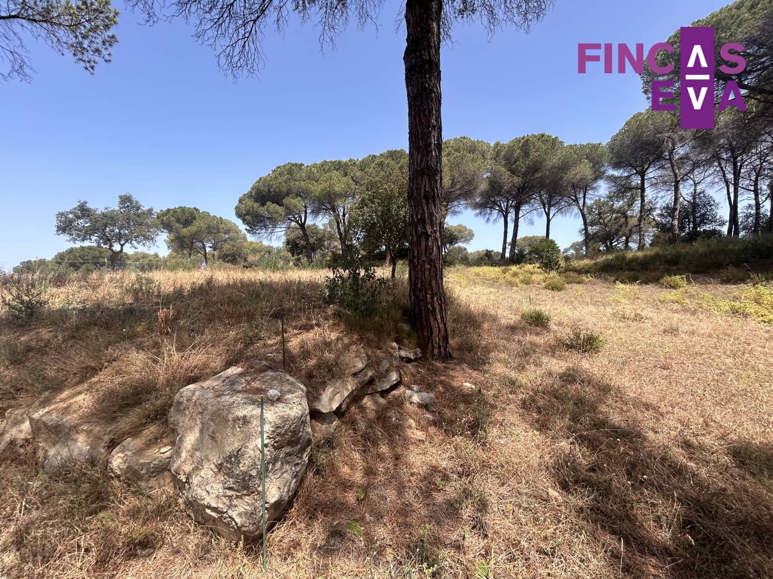 Działka budowlana na sprzedaż w Vallromanes - 310 000 € (Ref: 8436391)