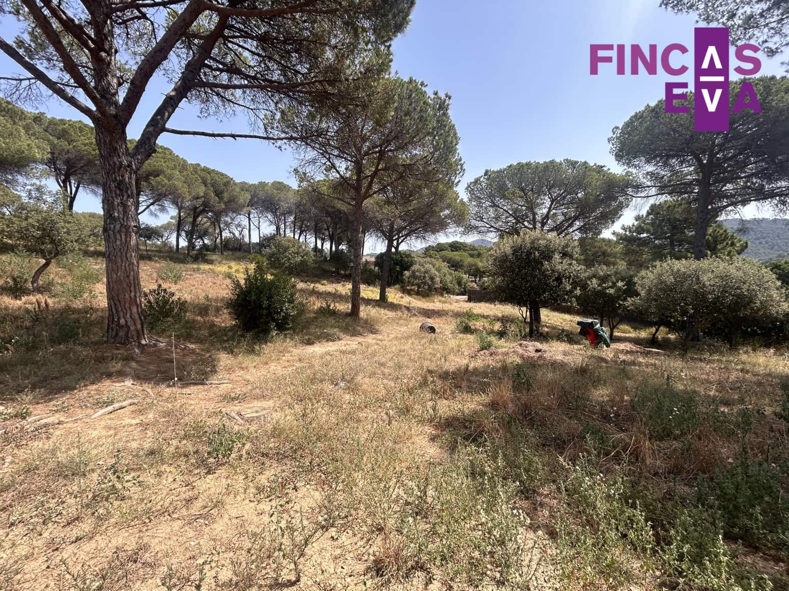 Działka budowlana na sprzedaż w Vallromanes - 310 000 € (Ref: 8436391)