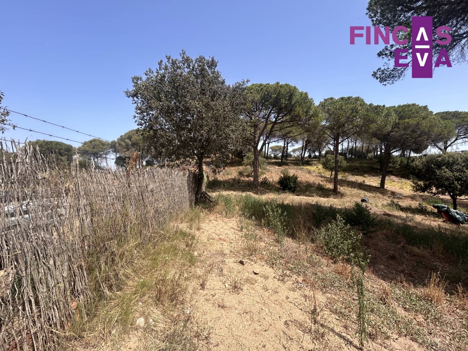 Działka budowlana na sprzedaż w Vallromanes - 310 000 € (Ref: 8436391)