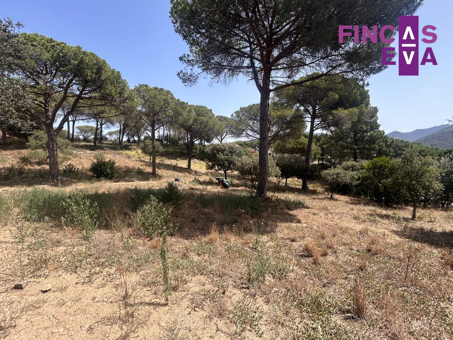 Działka budowlana na sprzedaż w Vallromanes - 310 000 € (Ref: 8436391)