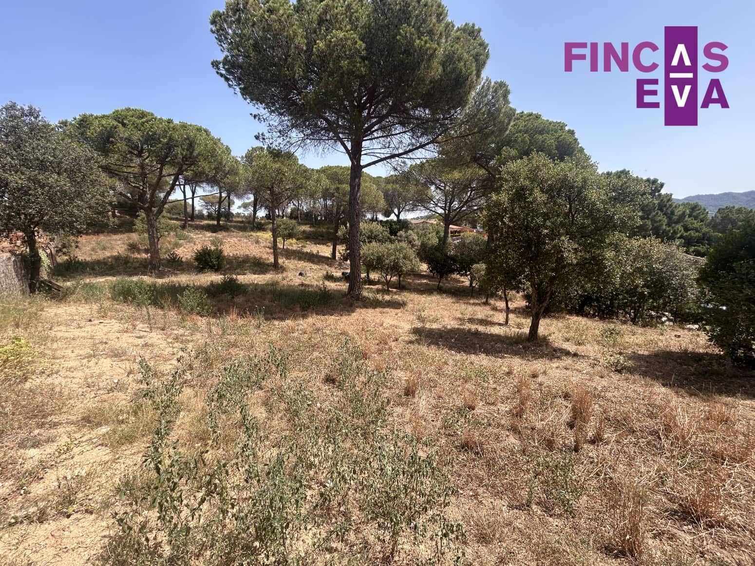 Działka budowlana na sprzedaż w Vallromanes - 310 000 € (Ref: 8436391)