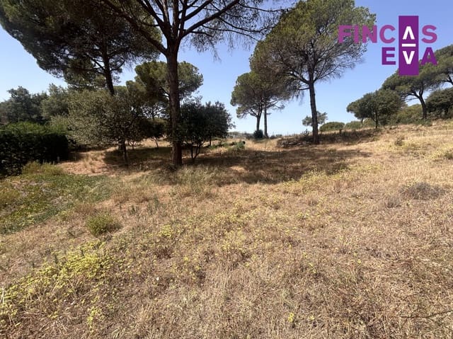 Building Plot for sale in Vallromanes - € 310,000 (Ref: 8436391)