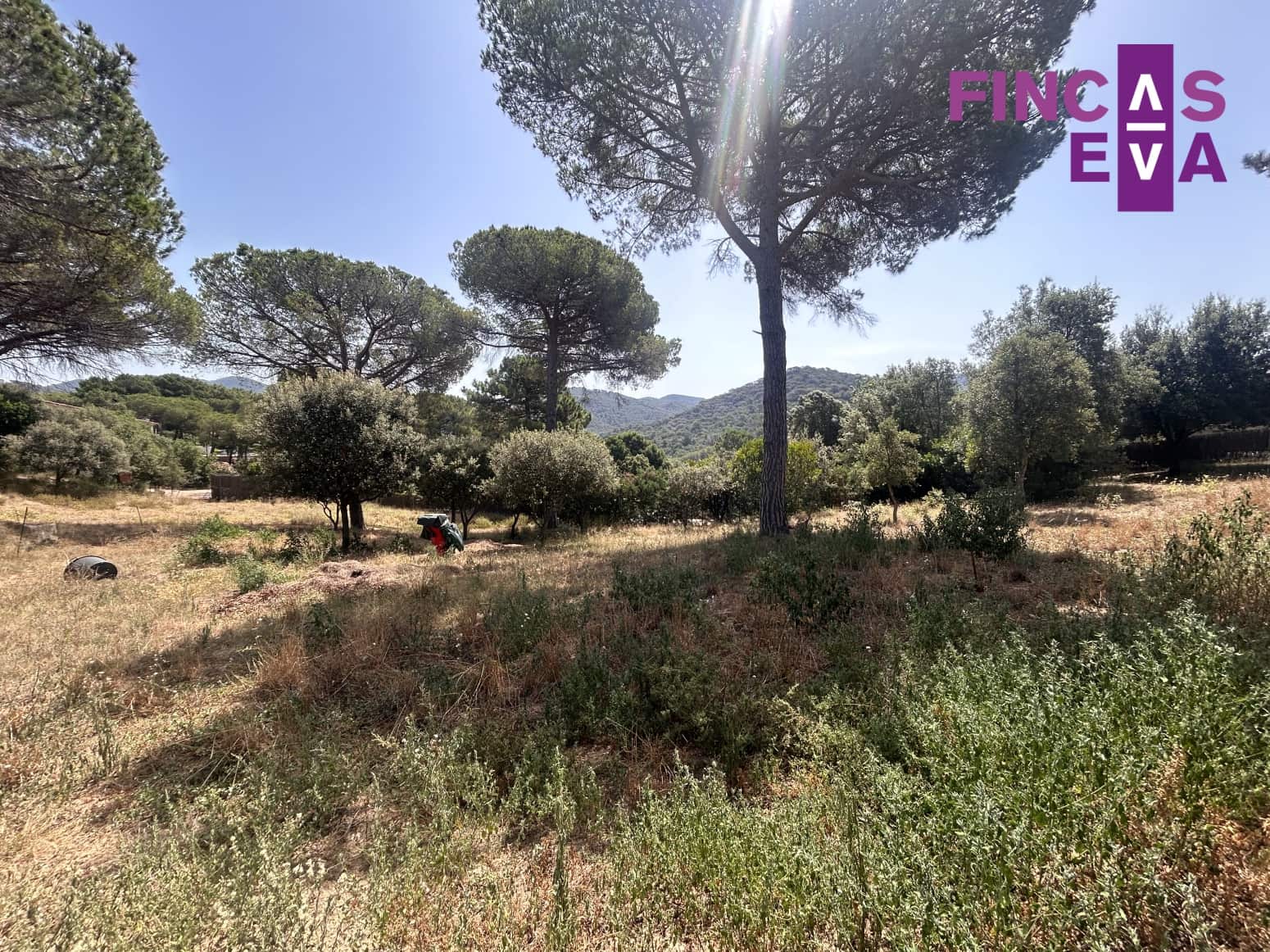 Działka budowlana na sprzedaż w Vallromanes - 310 000 € (Ref: 8436391)