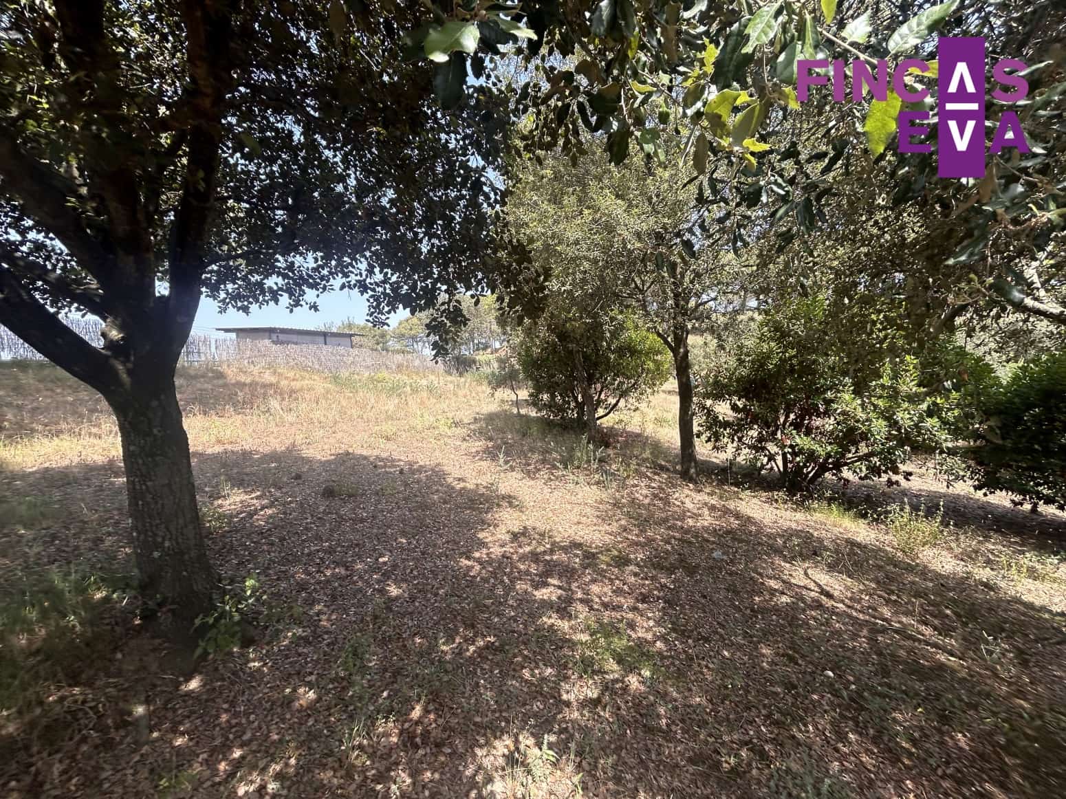 Działka budowlana na sprzedaż w Vallromanes - 310 000 € (Ref: 8436391)