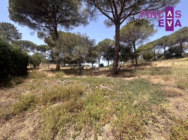 Building Plot for sale in Vallromanes - € 310,000 (Ref: 8436391)