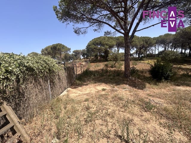 Building Plot for sale in Vallromanes - € 310,000 (Ref: 8436391)