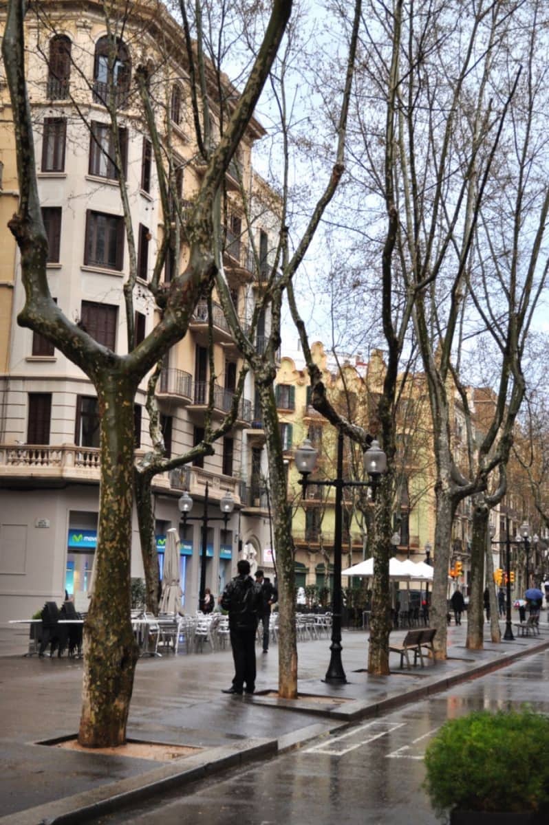 1 slaapkamer Flat te koop in Barcelona stad - € 280.000 (Ref: 8881114)