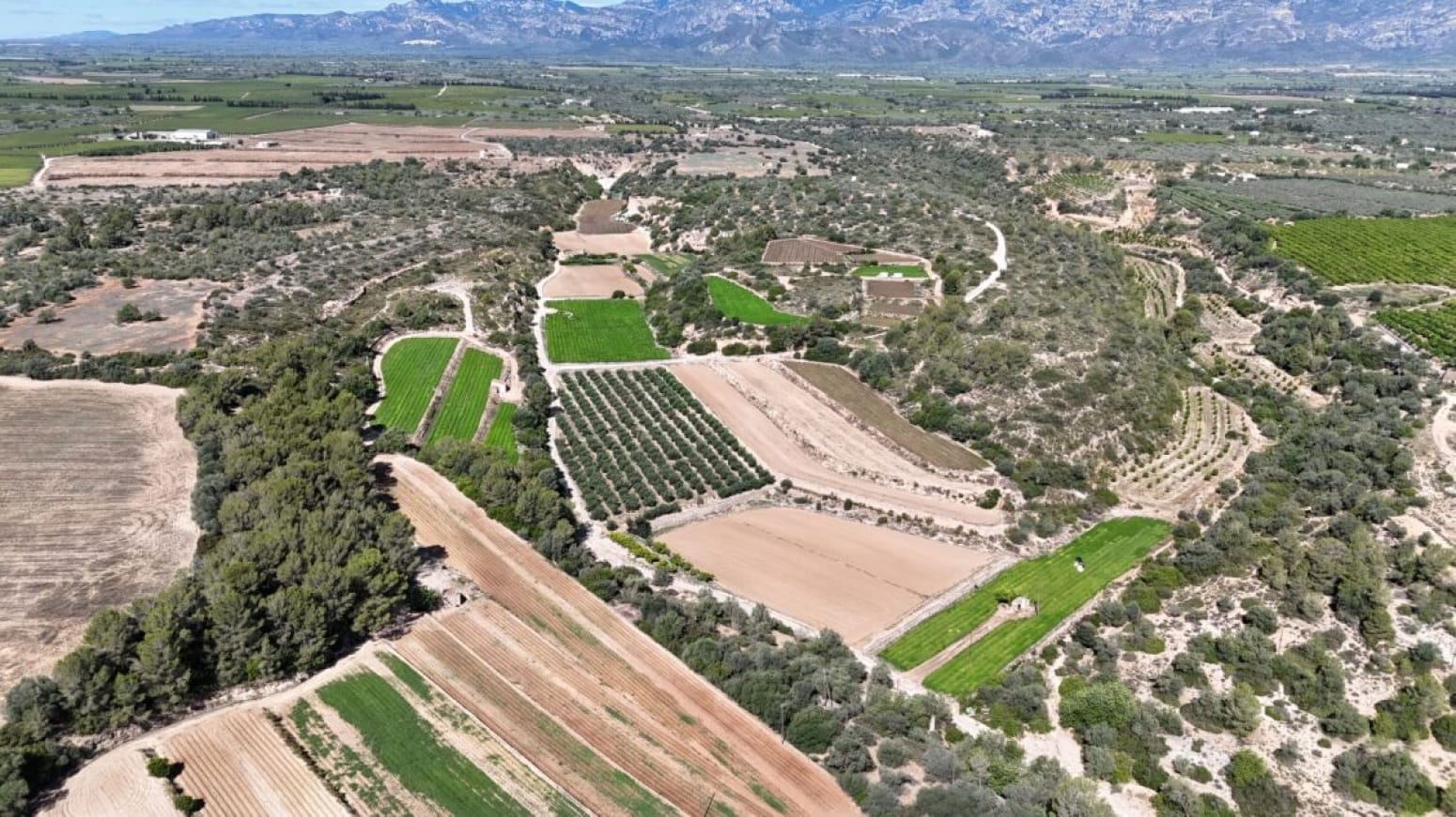 Byggegrund til salg i Benifallet - € 275.000 (Ref: 9023671)