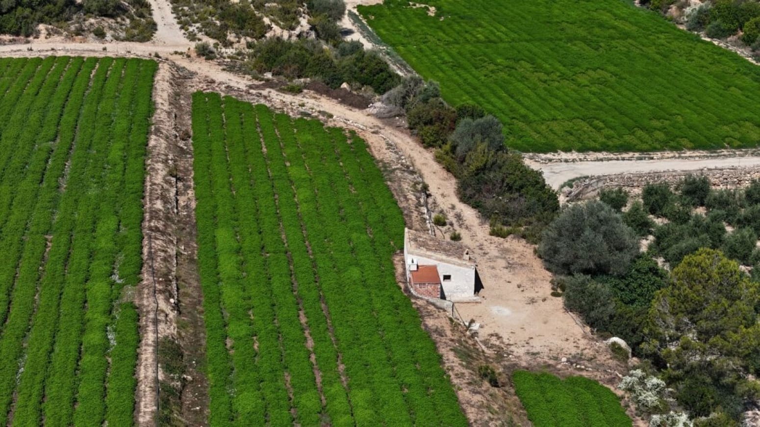 Byggegrund til salg i Benifallet - € 275.000 (Ref: 9023671)