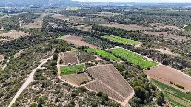 Building Plot for sale in Benifallet - € 275,000 (Ref: 9023671)