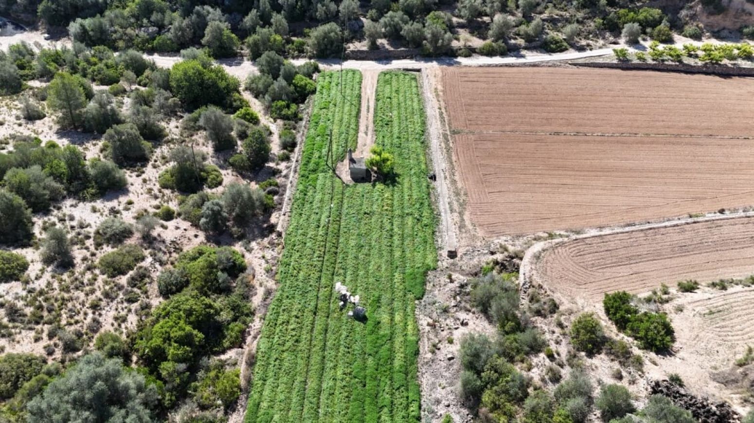 Byggegrund til salg i Benifallet - € 275.000 (Ref: 9023671)