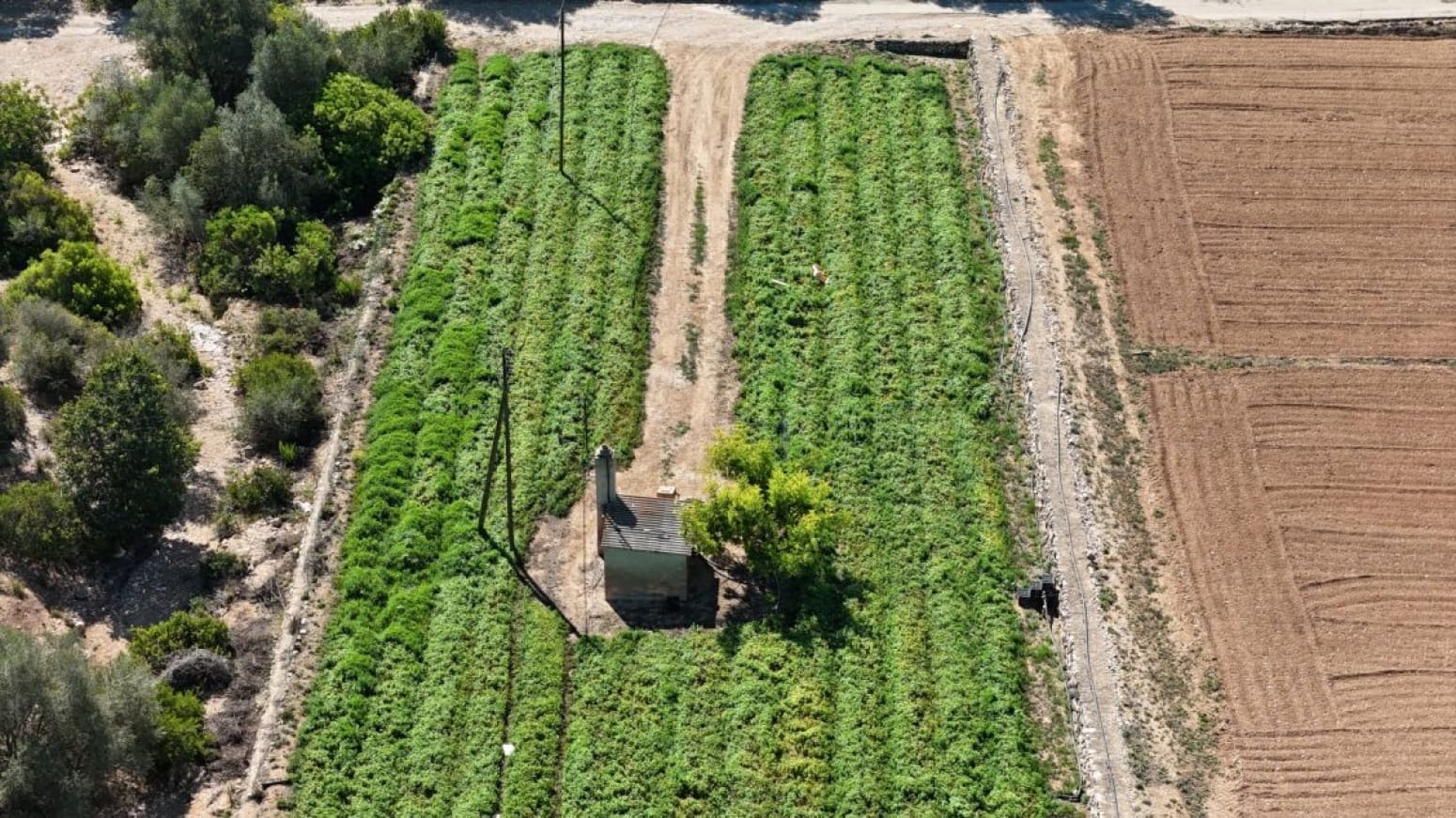 Byggegrund til salg i Benifallet - € 275.000 (Ref: 9023671)