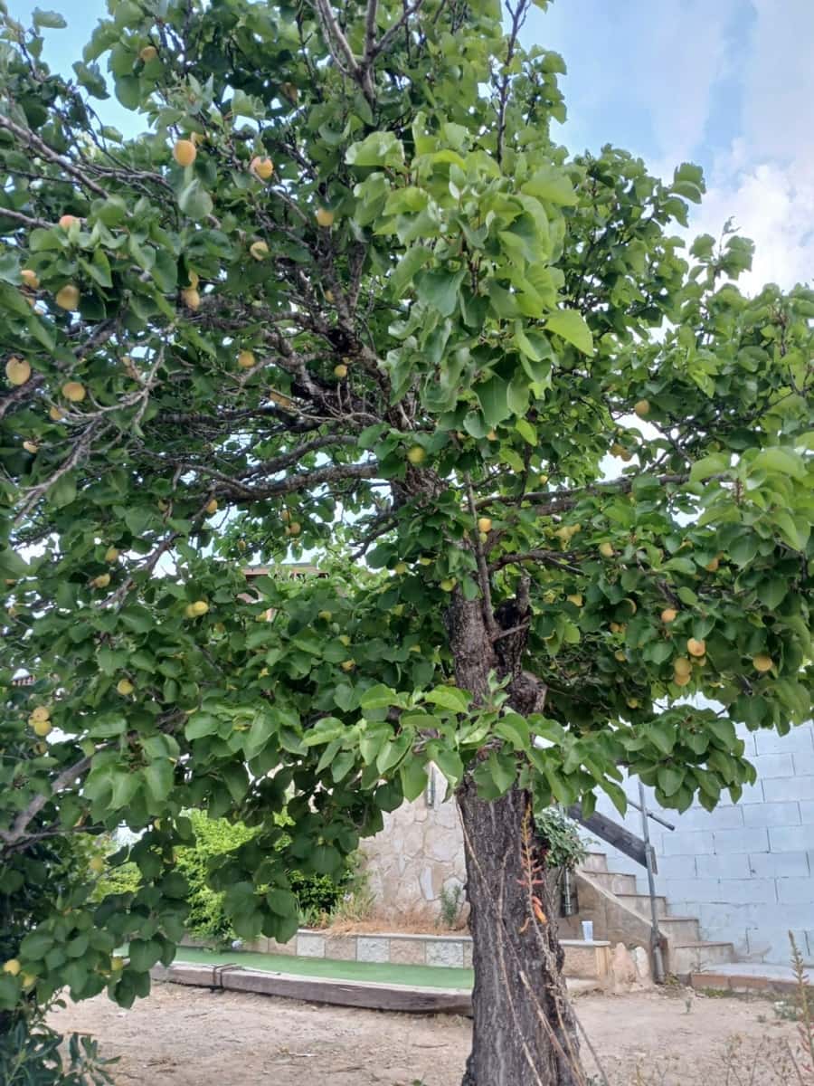 Chalet de 5 habitaciones en Vespella en venta - 170.000 € (Ref: 9074215)