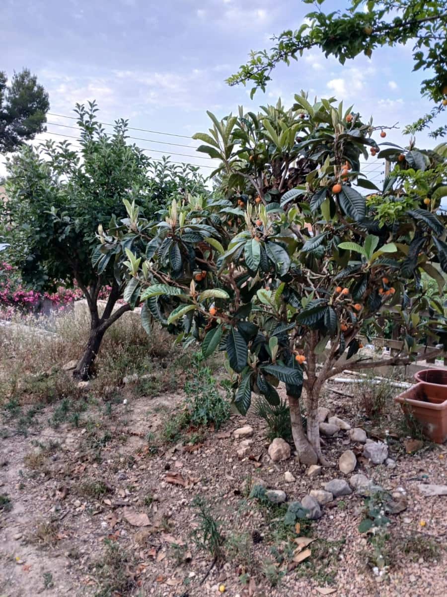 Chalet de 5 habitaciones en Vespella en venta - 170.000 € (Ref: 9074215)