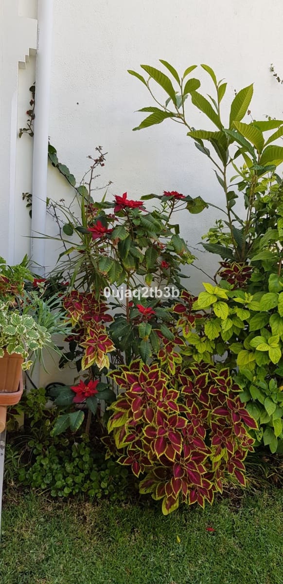 5 chambre Villa/Maison à vendre à New Golden Mile avec piscine garage - 1 200 000 € (Ref: 9471306)