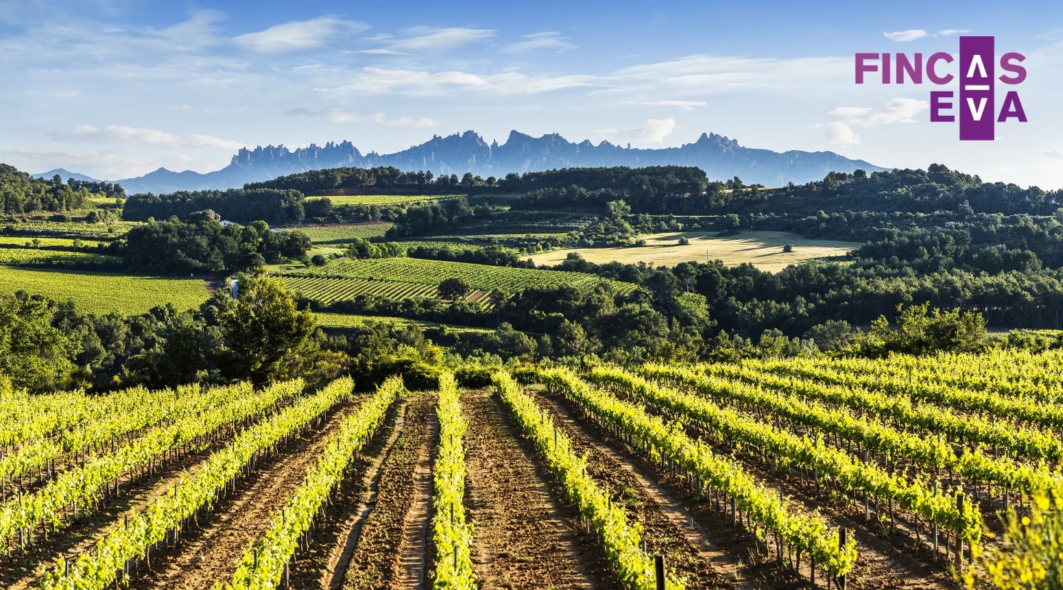 Flat for sale in Barcelona city - € 45,000 (Ref: 9474359)