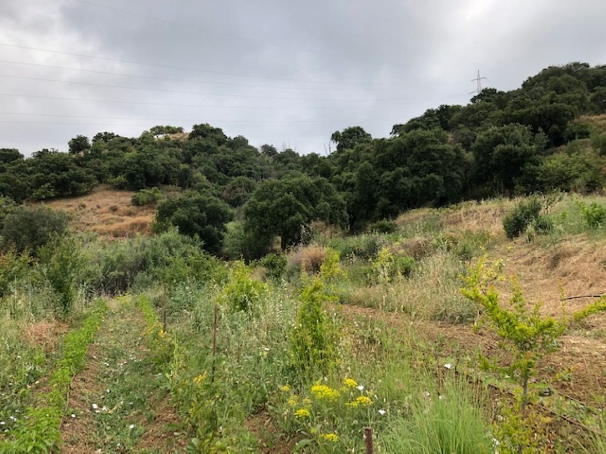 Tontti myytävänä paikassa Estepona - 510 000 € (Ref: 9487163)