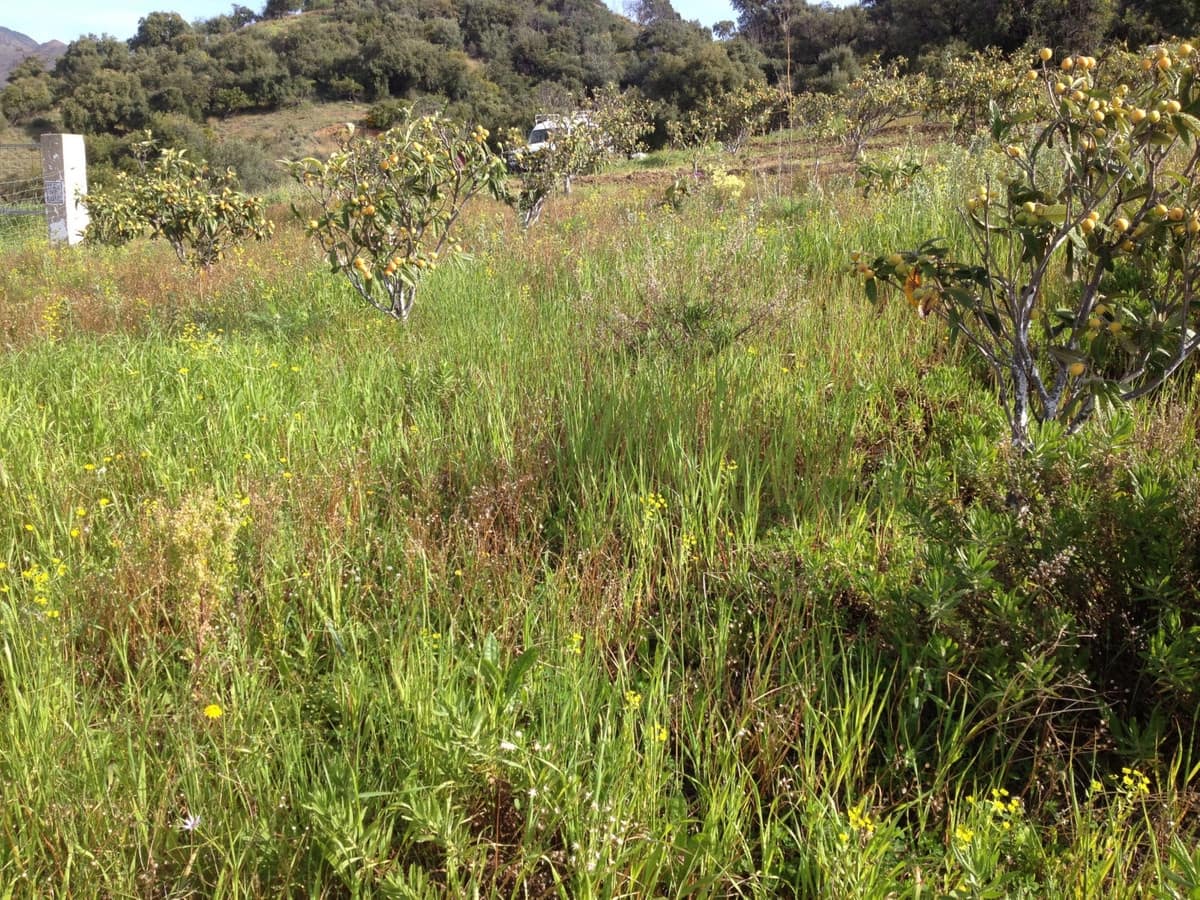 Tontti myytävänä paikassa Estepona - 510 000 € (Ref: 9487163)