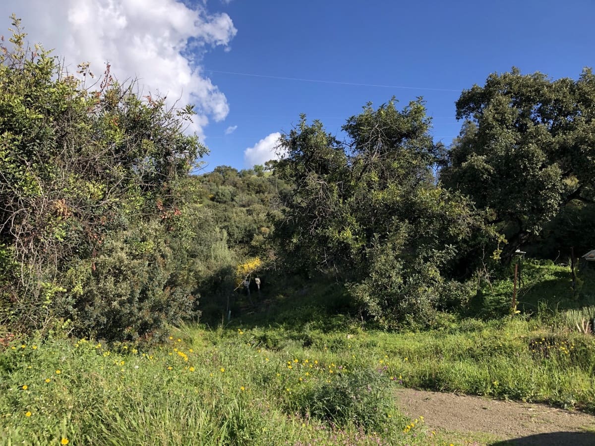 Tontti myytävänä paikassa Estepona - 510 000 € (Ref: 9487163)