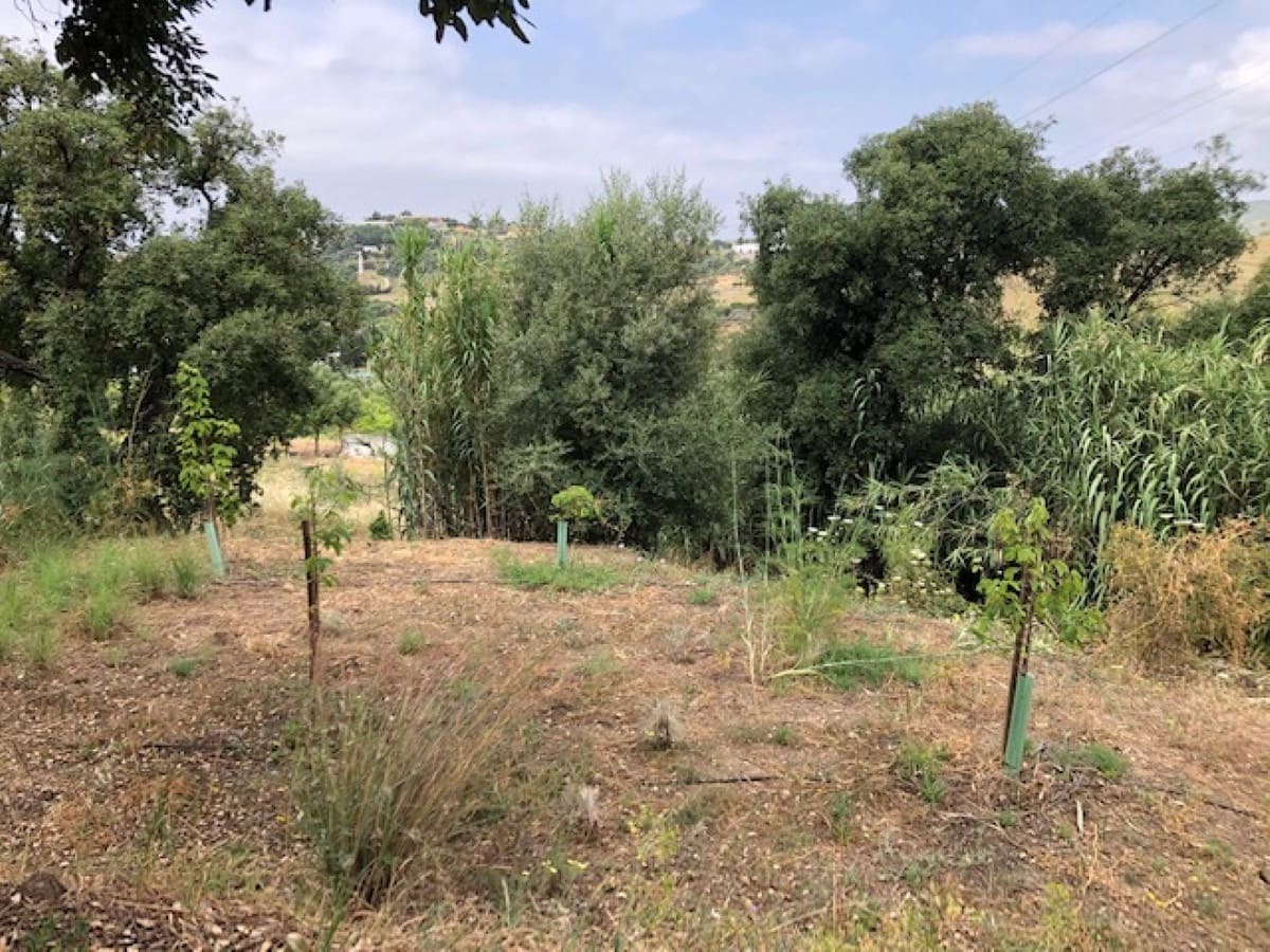 Tontti myytävänä paikassa Estepona - 510 000 € (Ref: 9487163)