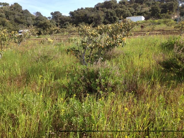 Tontti myytävänä paikassa Centro, Estepona - 510 000 € (Ref: 9487163)