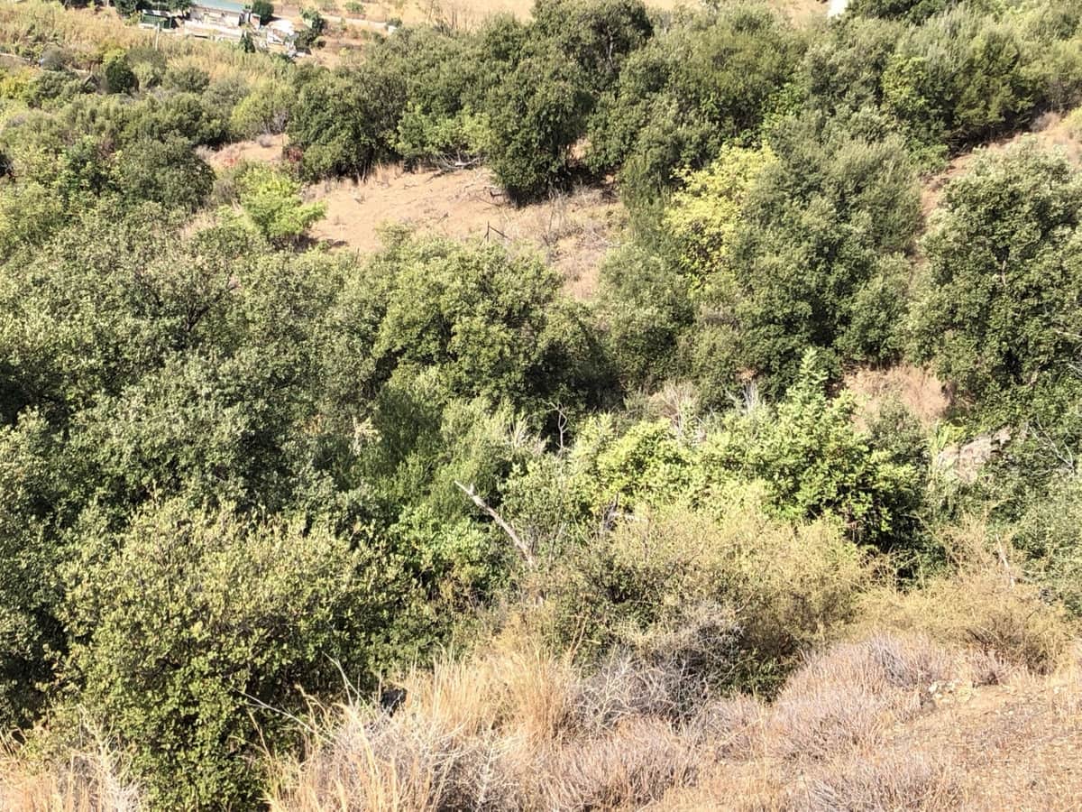 Tontti myytävänä paikassa Estepona - 510 000 € (Ref: 9487163)