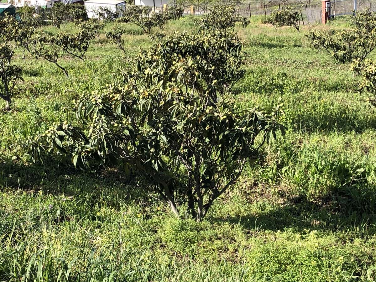 Tontti myytävänä paikassa Estepona - 510 000 € (Ref: 9487163)