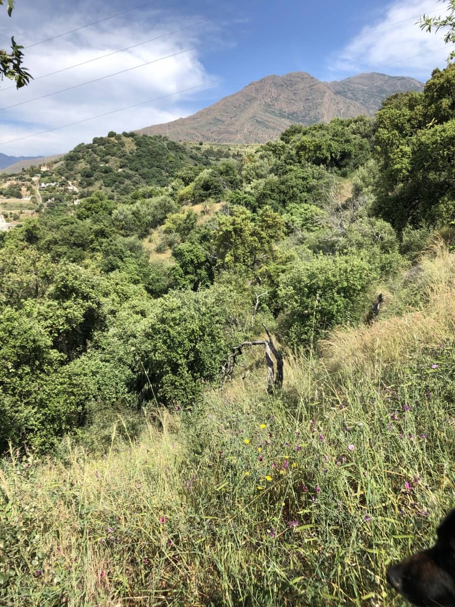 Tontti myytävänä paikassa Estepona - 510 000 € (Ref: 9487163)