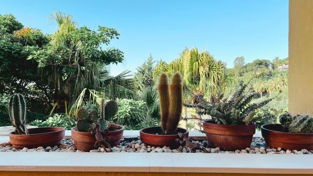 2 soveværelse Lejlighed til salg i La Reserva, Marbella med swimmingpool garage - € 299.000 (Ref: 9489832)