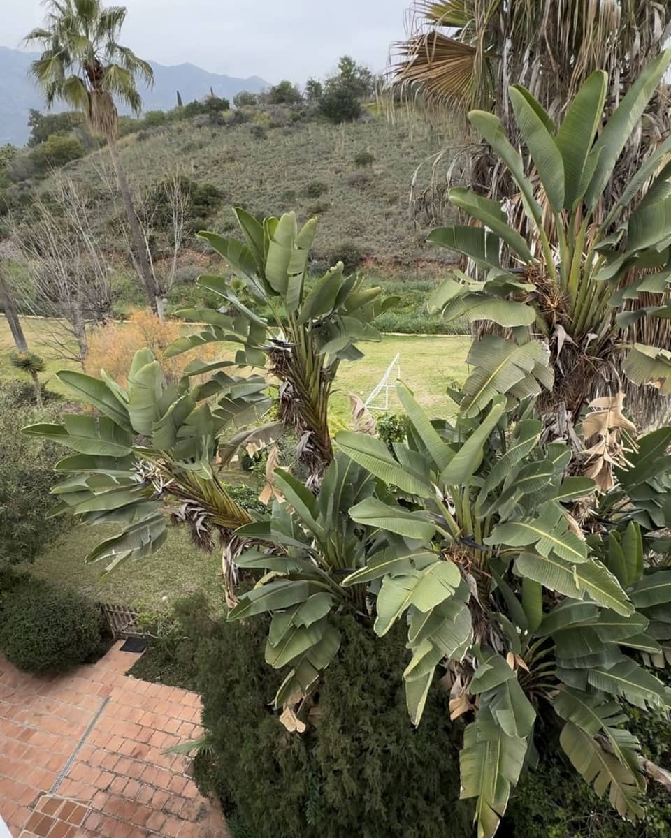 Chalet de 5 habitaciones en Marbella en venta con piscina garaje - 1.950.000 € (Ref: 9500254)