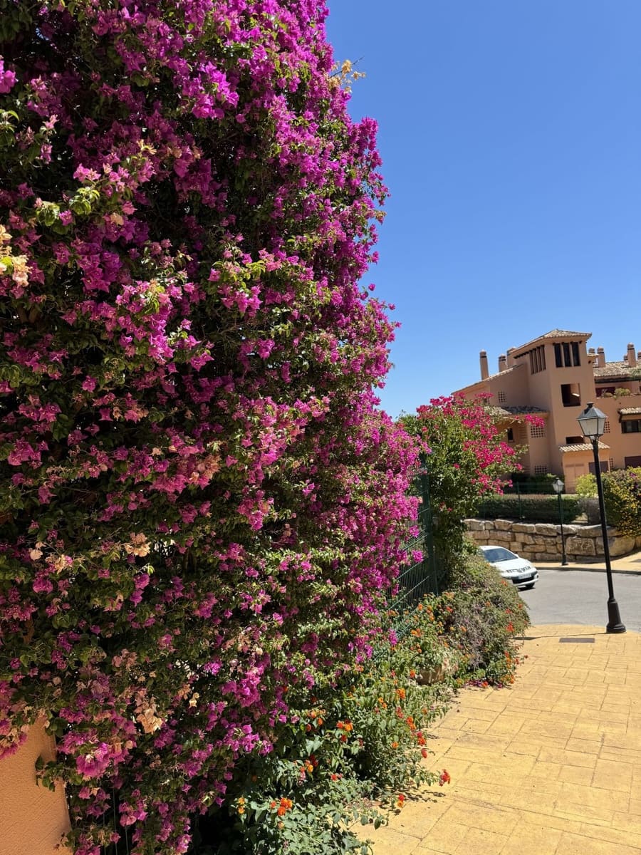 3 camera da letto Appartamento in vendita in Ojen con piscina garage - 495.000 € (Rif: 9510347)