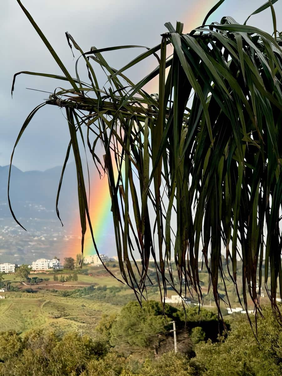 3 camera da letto Appartamento in vendita in Ojen con piscina garage - 495.000 € (Rif: 9510347)