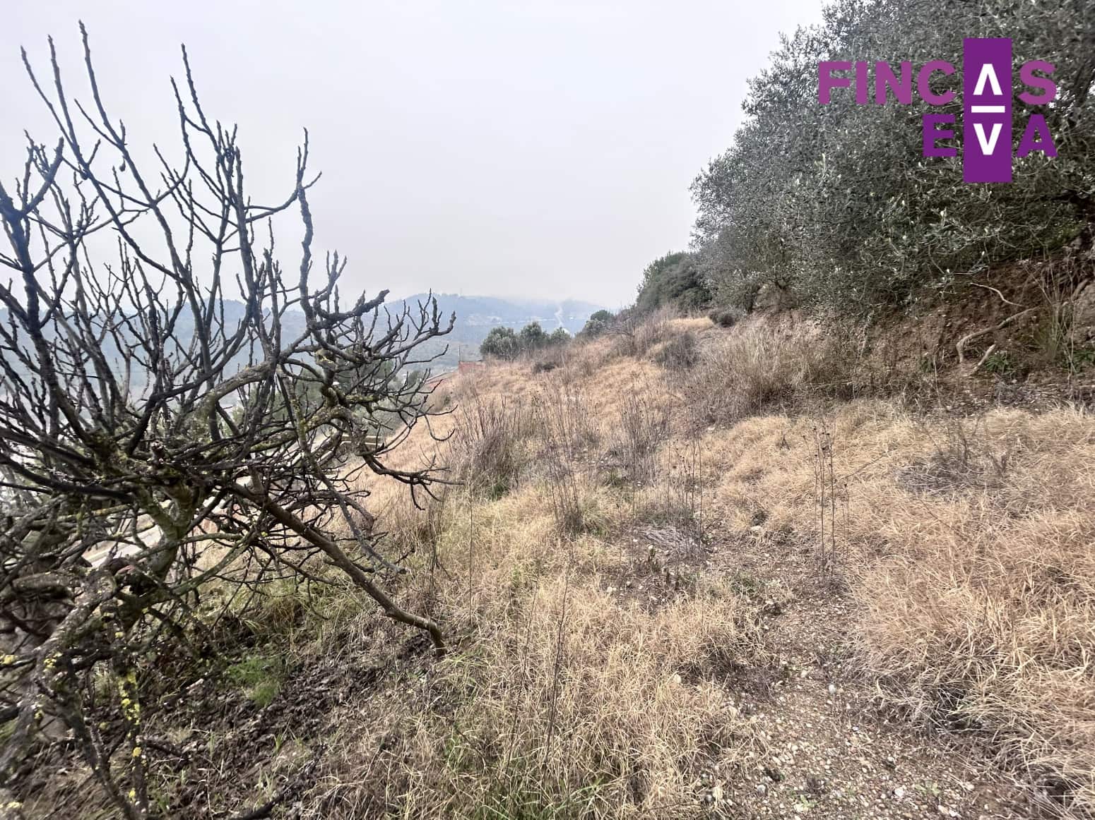 Building Plot for sale in Barcelona city - € 59,000 (Ref: 9528961)