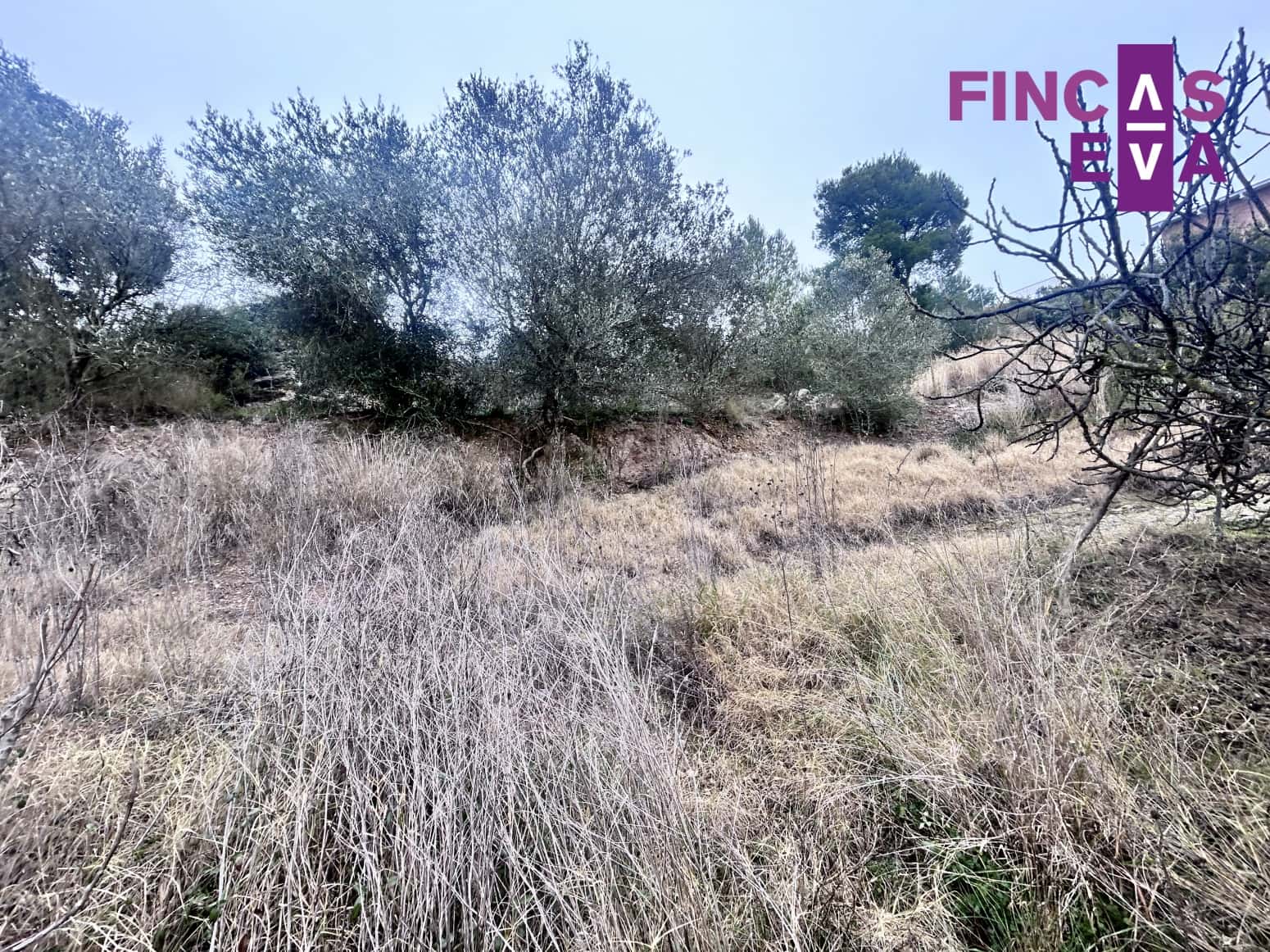 Building Plot for sale in Barcelona city - € 59,000 (Ref: 9528961)