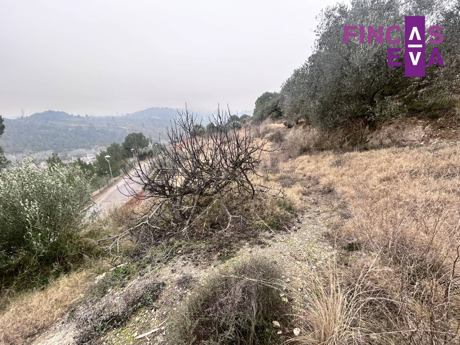 Building Plot for sale in Barcelona city - € 59,000 (Ref: 9528961)
