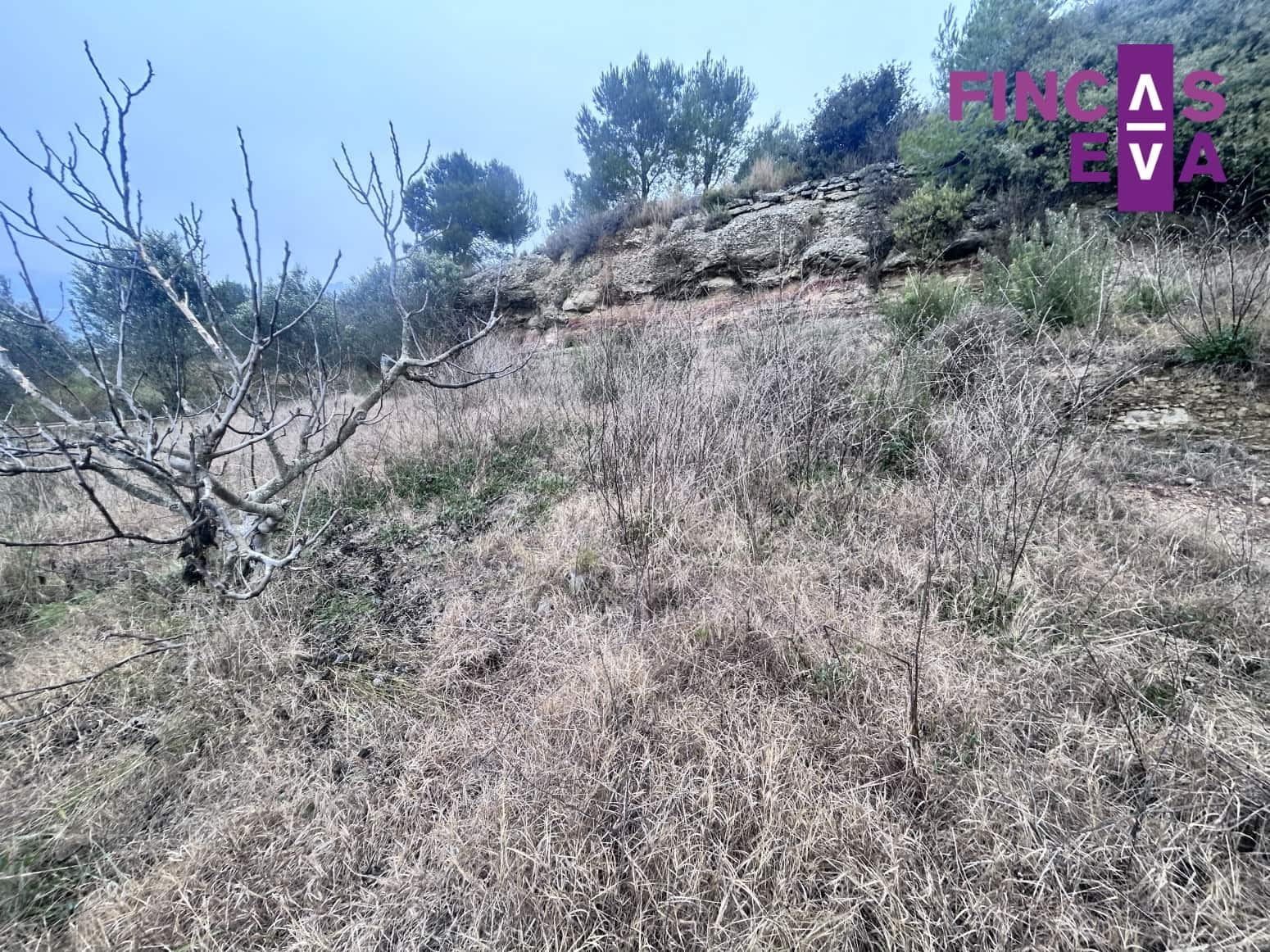 Building Plot for sale in Barcelona city - € 59,000 (Ref: 9528961)