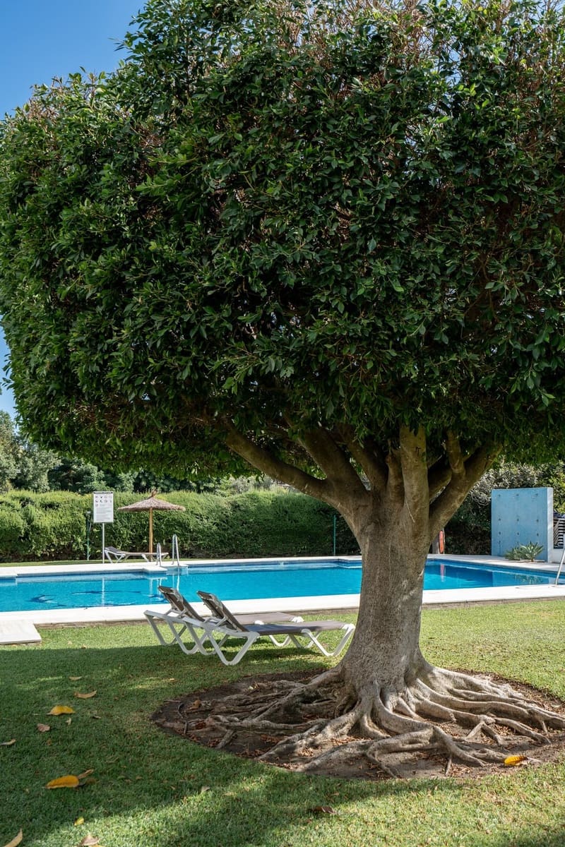 2 slaapkamer Flat te koop in Marbella met zwembad garage - € 695.000 (Ref: 9549016)