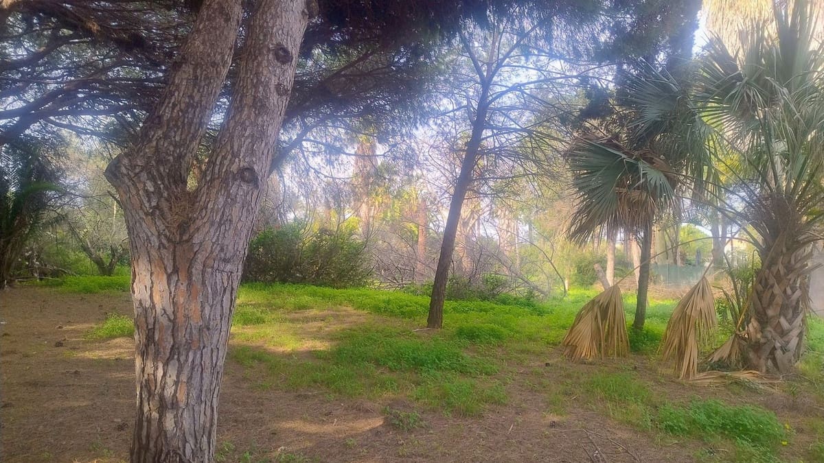 Building Plot for sale in Marbella - € 1,300,000 (Ref: 9565717)