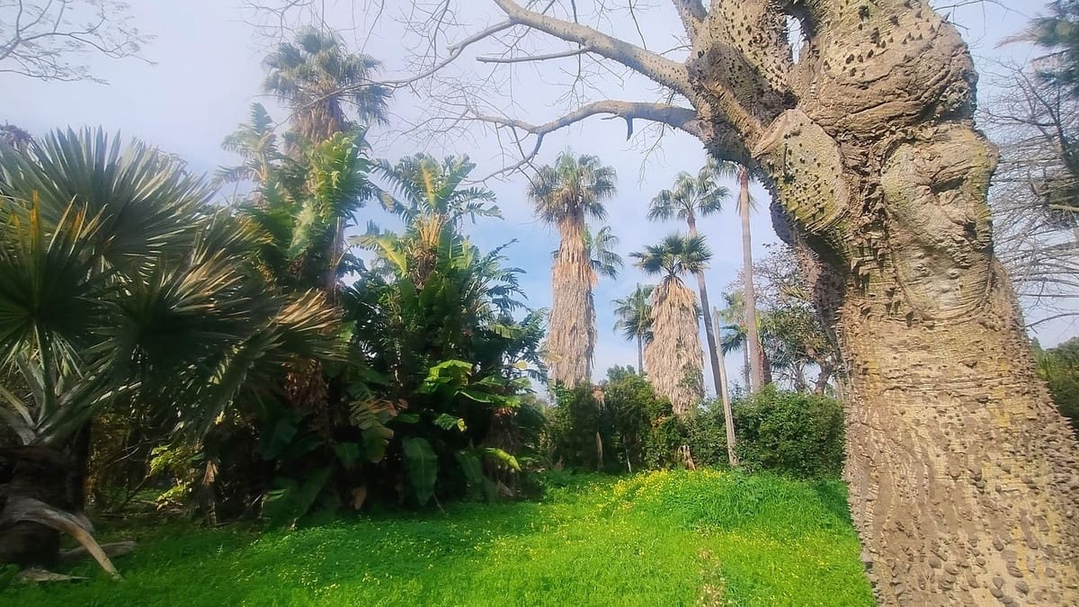 Building Plot for sale in Marbella - € 1,300,000 (Ref: 9565717)