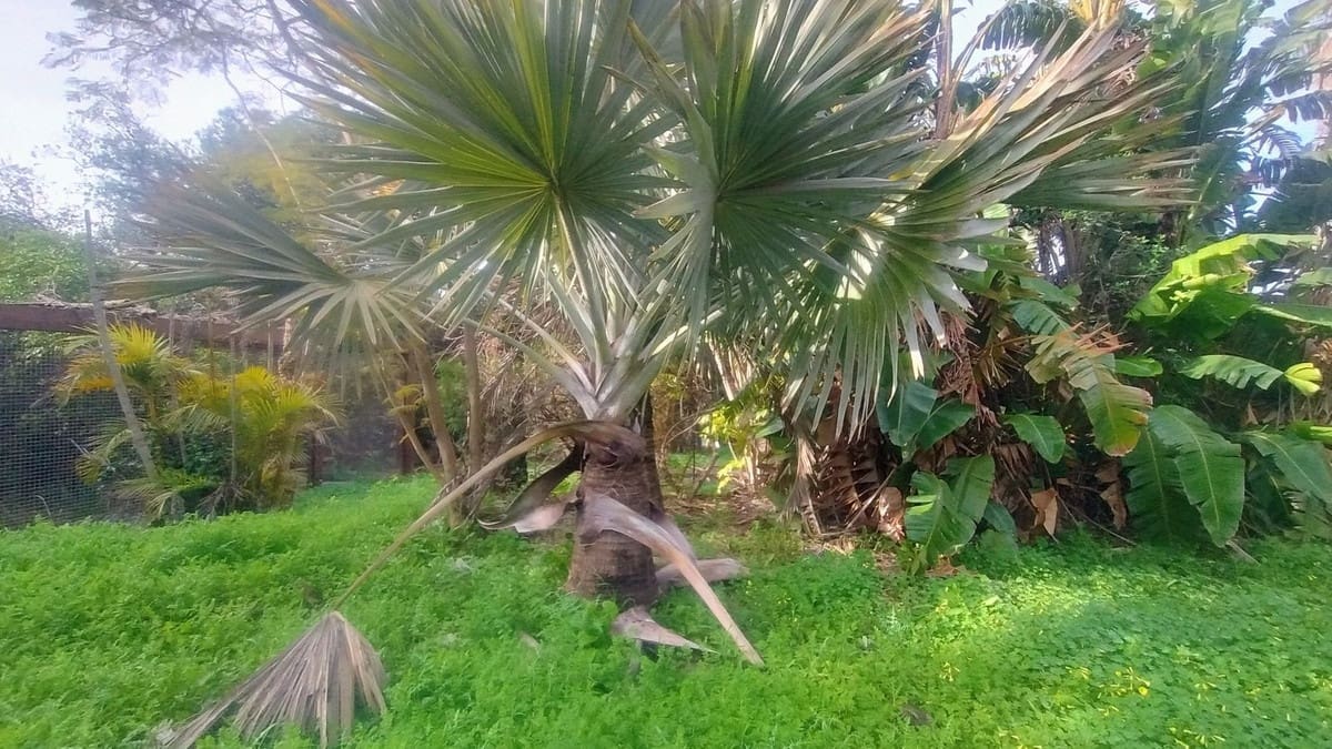 Building Plot for sale in Marbella - € 1,300,000 (Ref: 9565717)