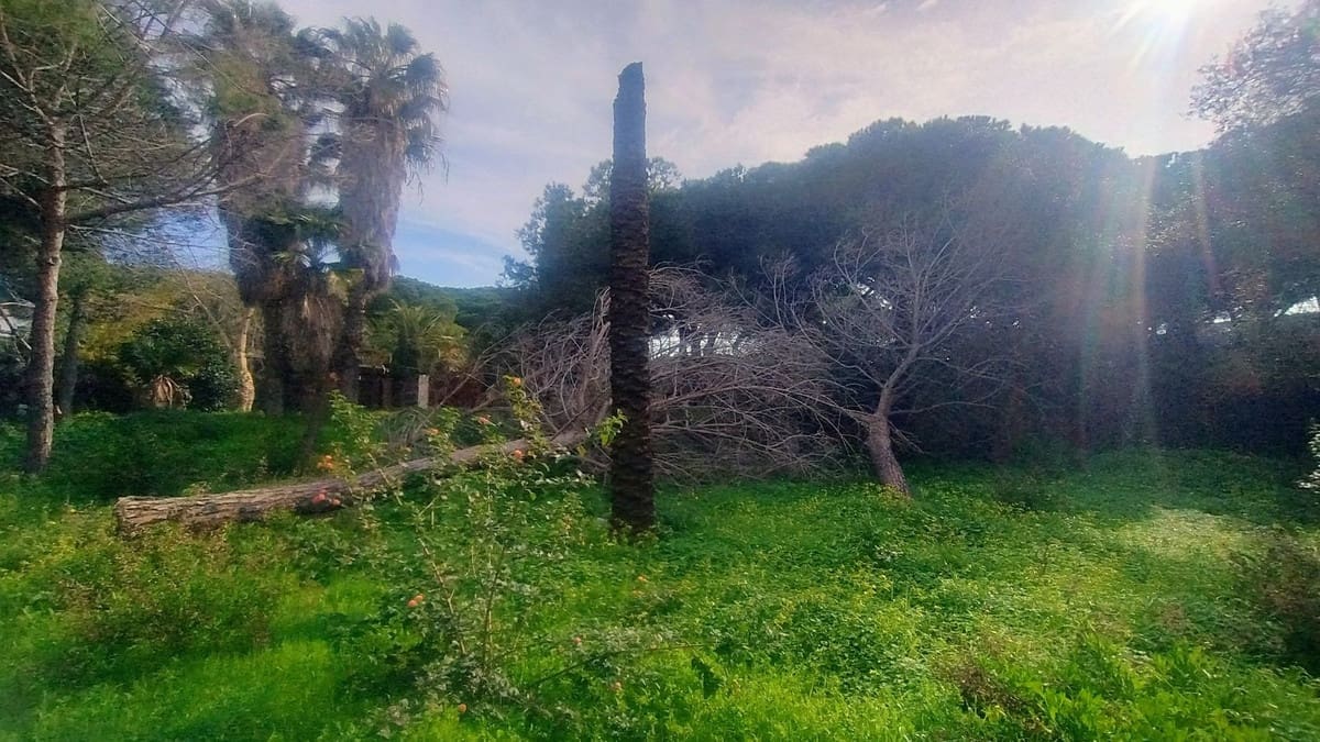 Building Plot for sale in Marbella - € 1,300,000 (Ref: 9565717)