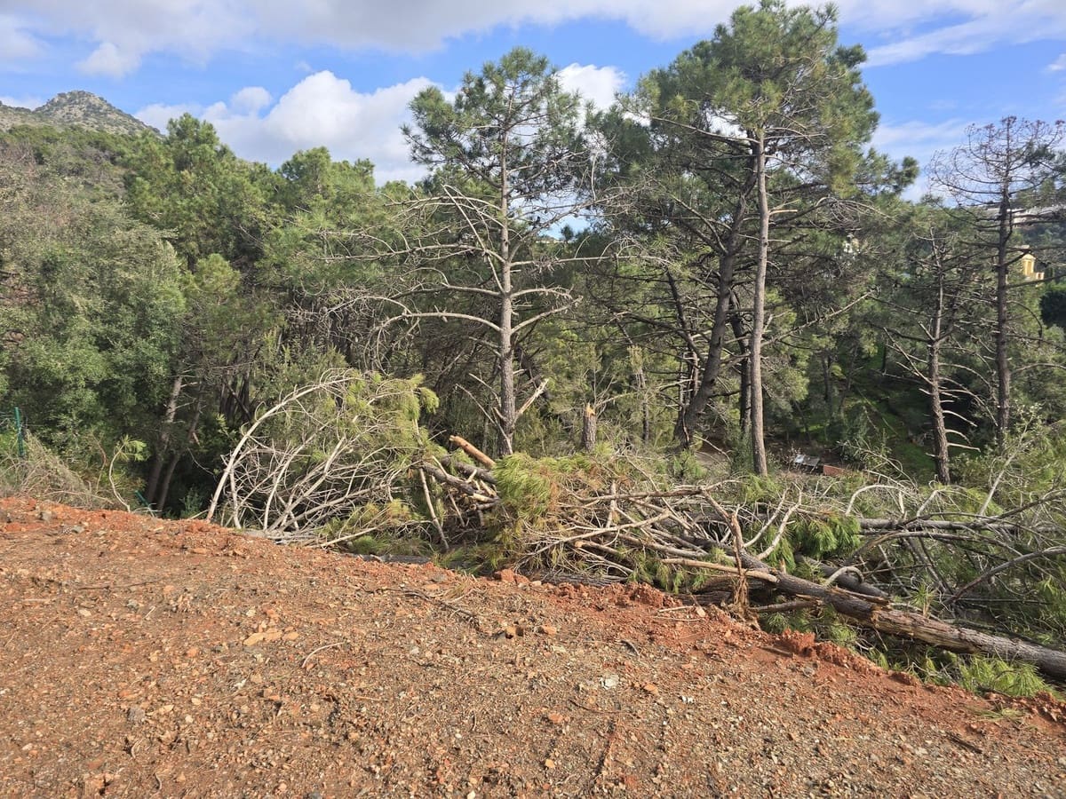 Solar/Parcela en Benahavís en venta - 3.500.000 € (Ref: 9566297)