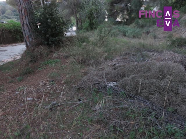 Solar/Parcela en Vallromanes en venta - 290.000 € (Ref: 9597291)